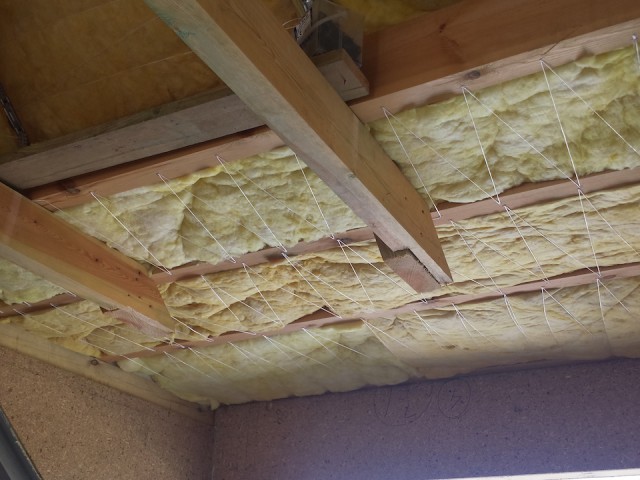 20140905_121150.jpg